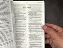 Biblia Economica RVR 1960 rosa